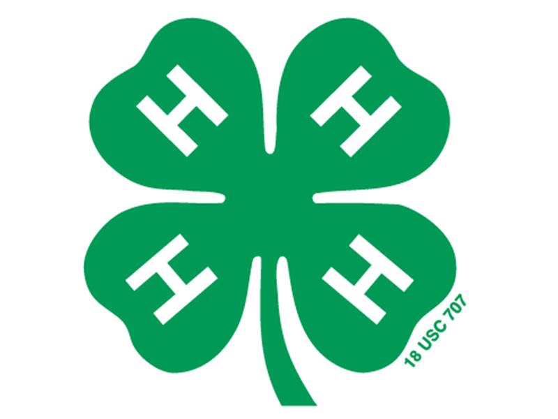 Logo for 2024 South Dakota State 4-H Horse Show