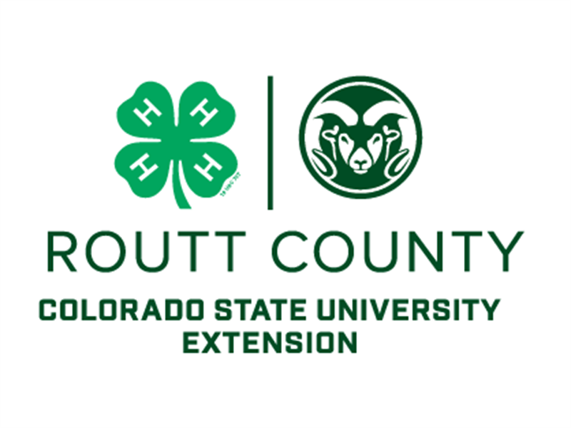 Logo for 2024 Routt County 4-H Fair